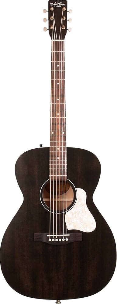 Amazon | Art&Lutherie アート&ルシアー アコースティックギター