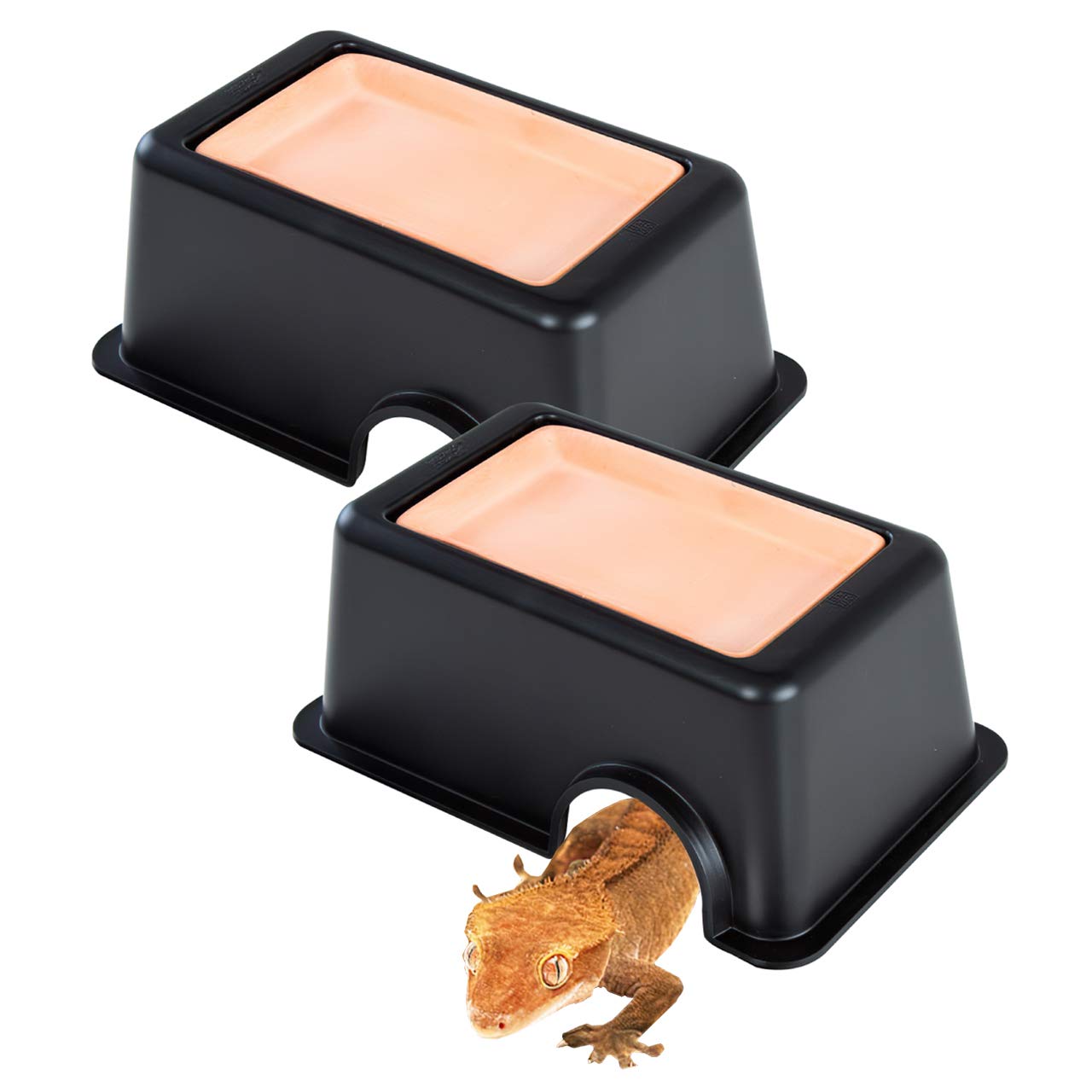 Amazon | ECONUS 爬虫類 隠れ家 シェルター ハウス 両生類 保湿洞窟