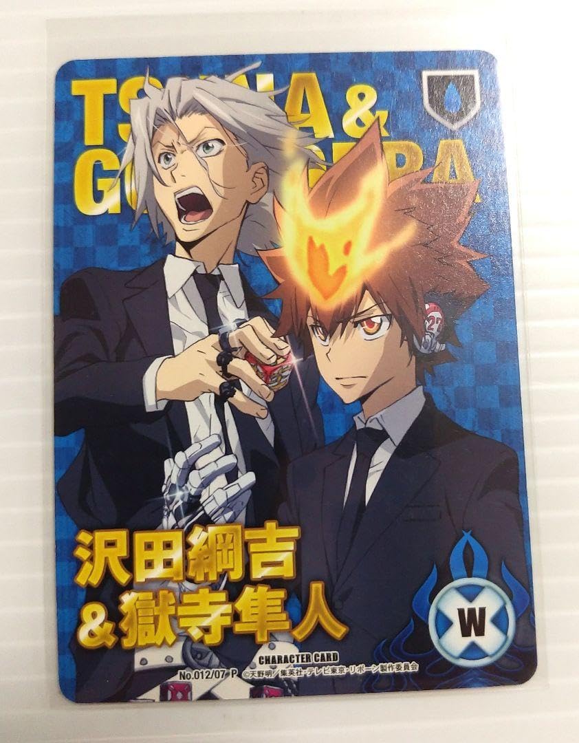 家庭教師ヒットマンreborn! CCG カード まとめ売り ファイル付き