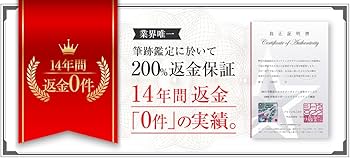 Amazon.co.jp: ジョー・モンタナ 直筆 サイン 入り Panini PRIZM 公式