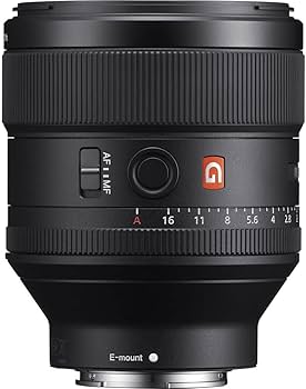 Amazon.com : Sony FE 85 mm F1.4 GM Portrait Prime Lens (SEL85F14GM