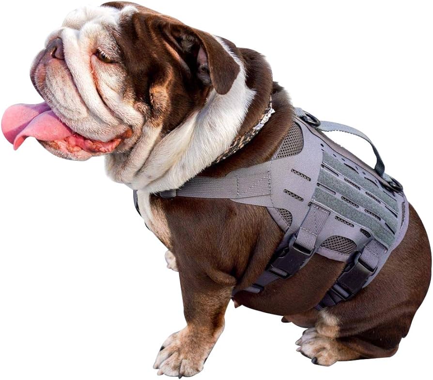 Amazon | 【KILONINER】 キロナイナー ハーネス 犬 猫 超小型犬 小型犬