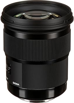 Sigma 311101 50mm F1.4 DG HSM Art Lens for Canon Cameras : Amazon