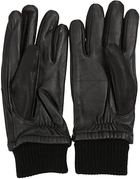 Amazon.co.jp: [カナダグース] グローブ 手袋 メンズ CANADA GOOSE