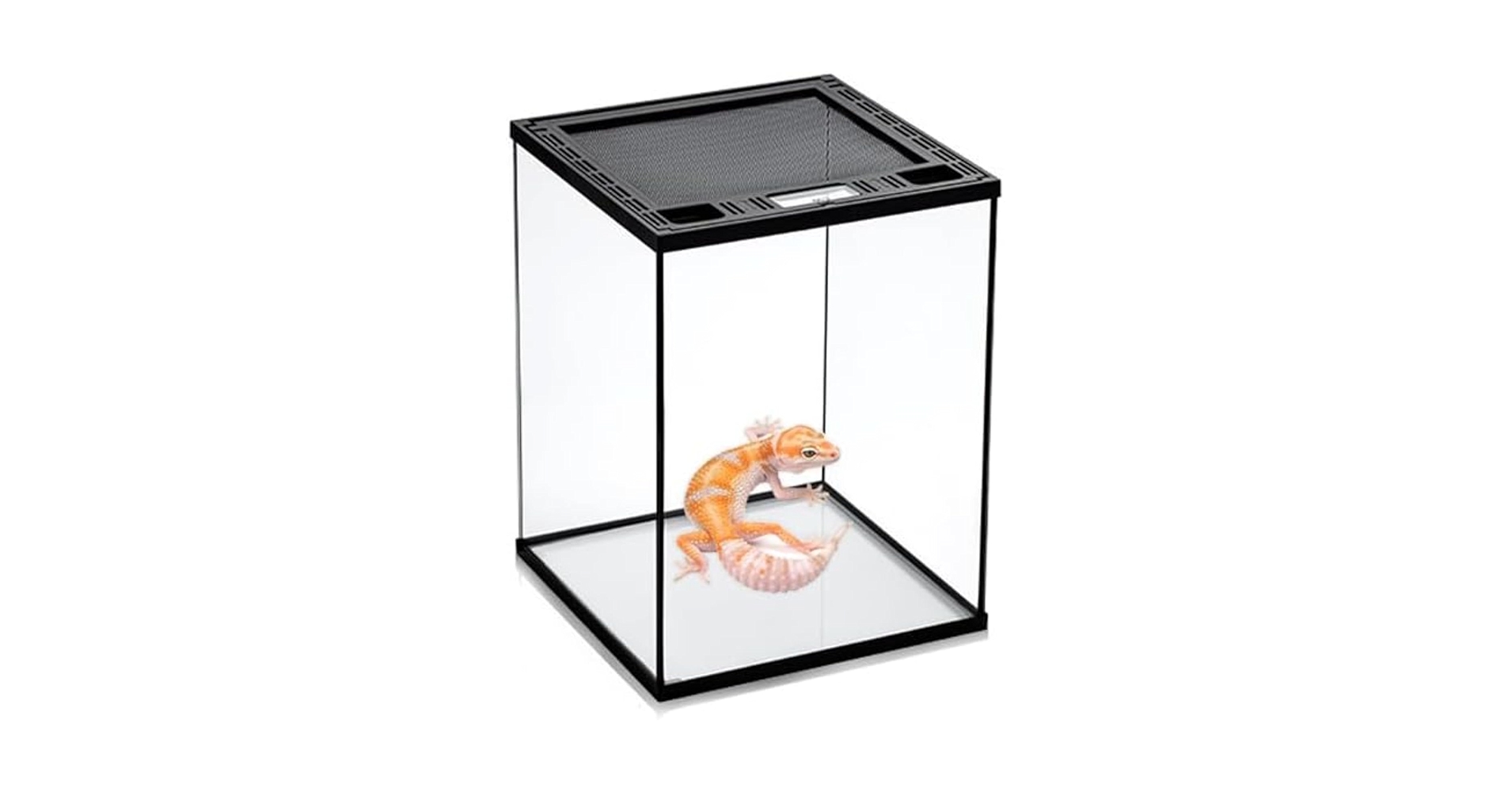 自社製組み立て式爬虫類両生類ケージガラス飼育ケージ60x30x30cm引取り