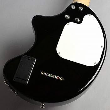 Amazon | FERNANDES フェルナンデス エレキギター ZO-3 '19 BLK W/SC