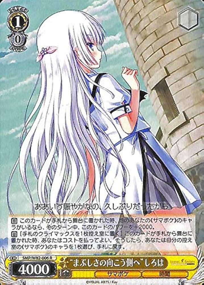 ヴァイス summer pockets サマーポケット RR以下4コン ヴァイス