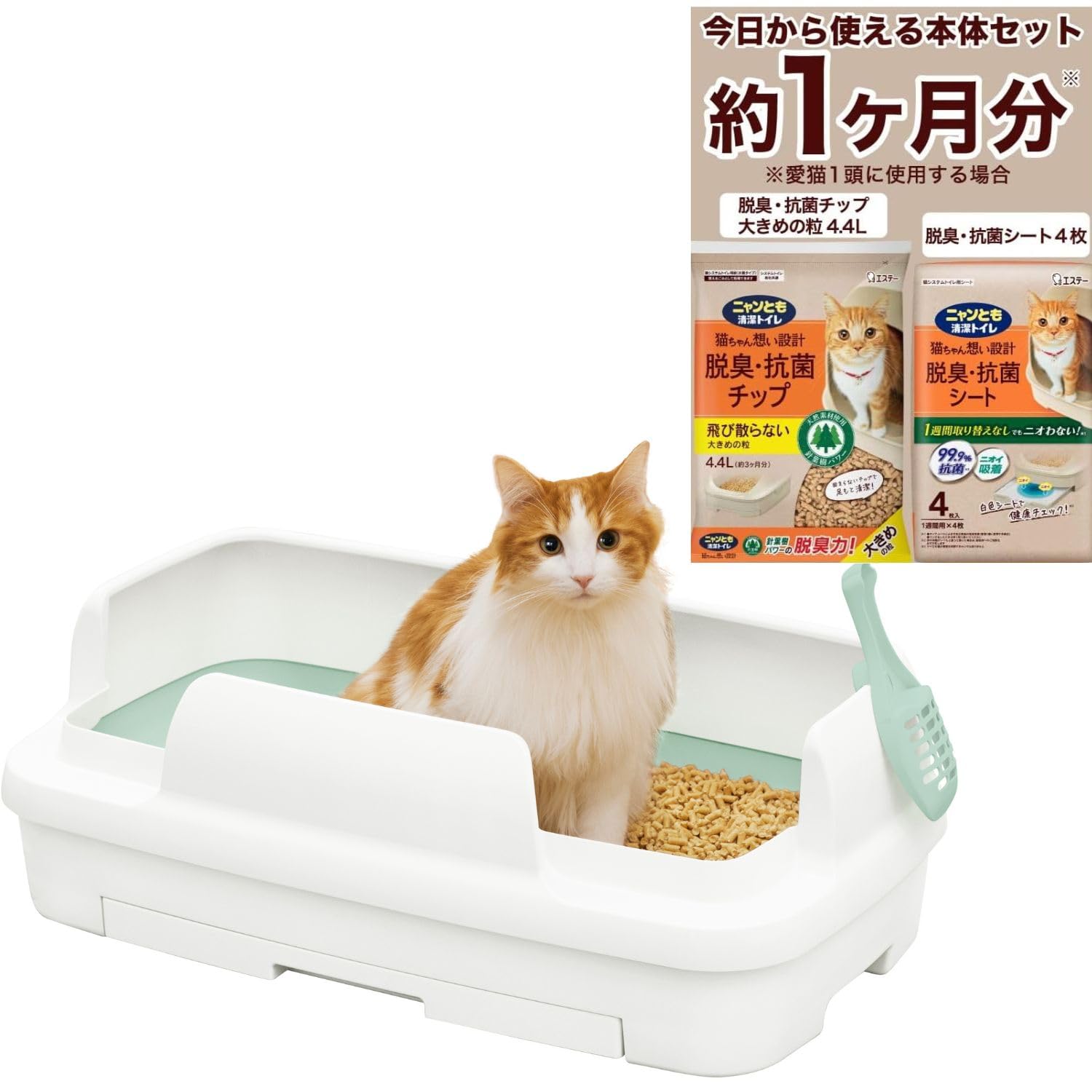 Amazon | ニャンとも清潔トイレ 猫 トイレ 大型 本体セット [約1ヵ月分
