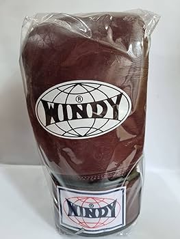 Amazon.co.jp: WINDY ウィンディ キック ボクシンググローブ BGVH