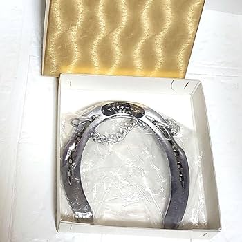 Amazon.co.jp: オグリキャップ 蹄鉄 壁掛け 優駿スタリオン