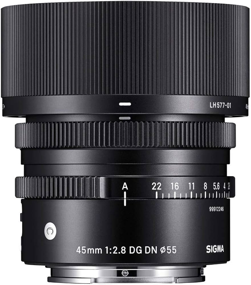 Amazon.com : Sigma 45 mm F2.8 DG DN for Sony E : Electronics