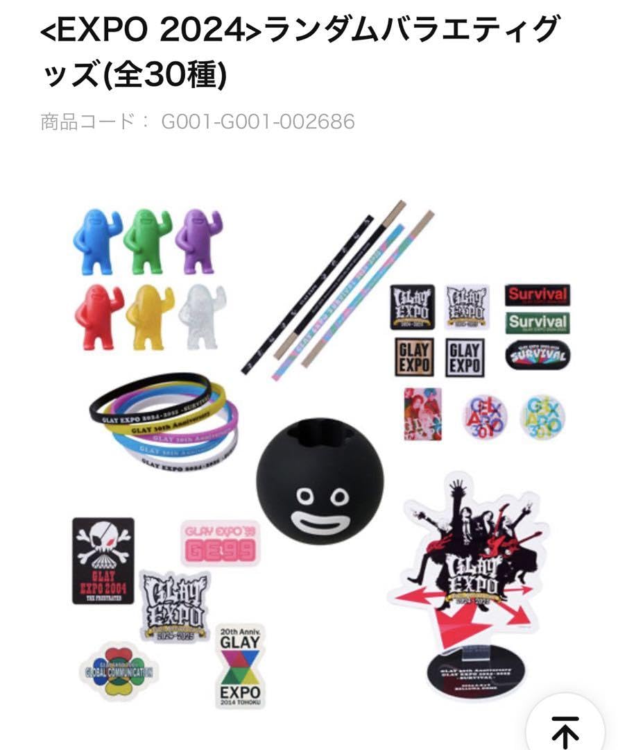 GLAY EXPO BTTP 2024 ランダムバラエティグッズ ブランケット GLAY