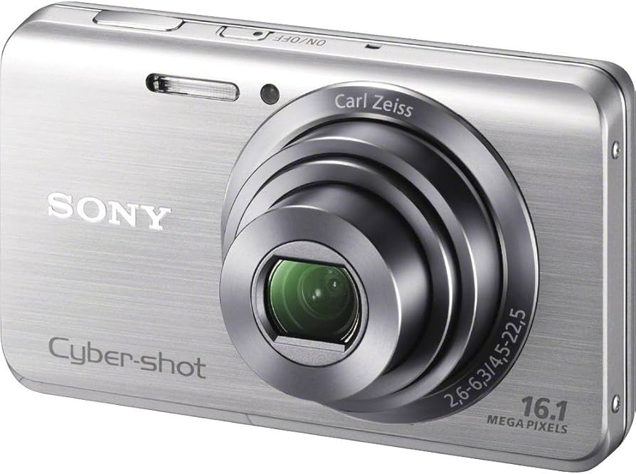 Amazon.com : Sony Cyber-shot DSCW650 16.1 MP Digital Camera with