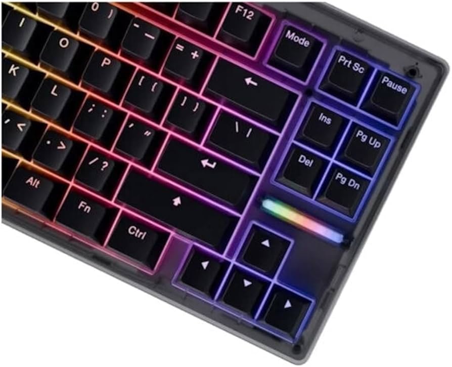 Teclado Wooting 80he PCR Black Lacradoo | Amazon.com.br