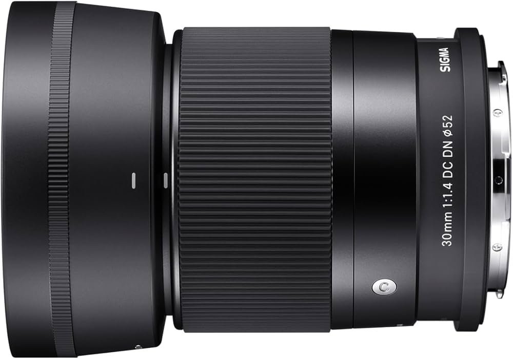 Sigma Objectif 30mm F1.4 DC DN - Monture Sony : Amazon.fr: High-Tech
