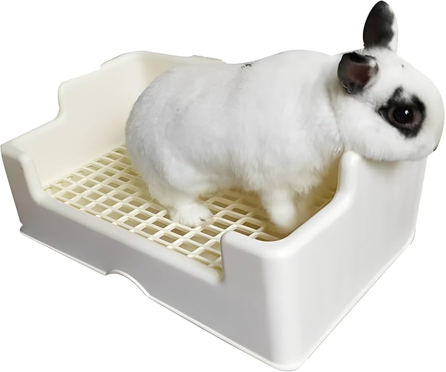 Amazon | RYAKOIM うさぎ トイレ モルモット用トイレ 小動物トイレ