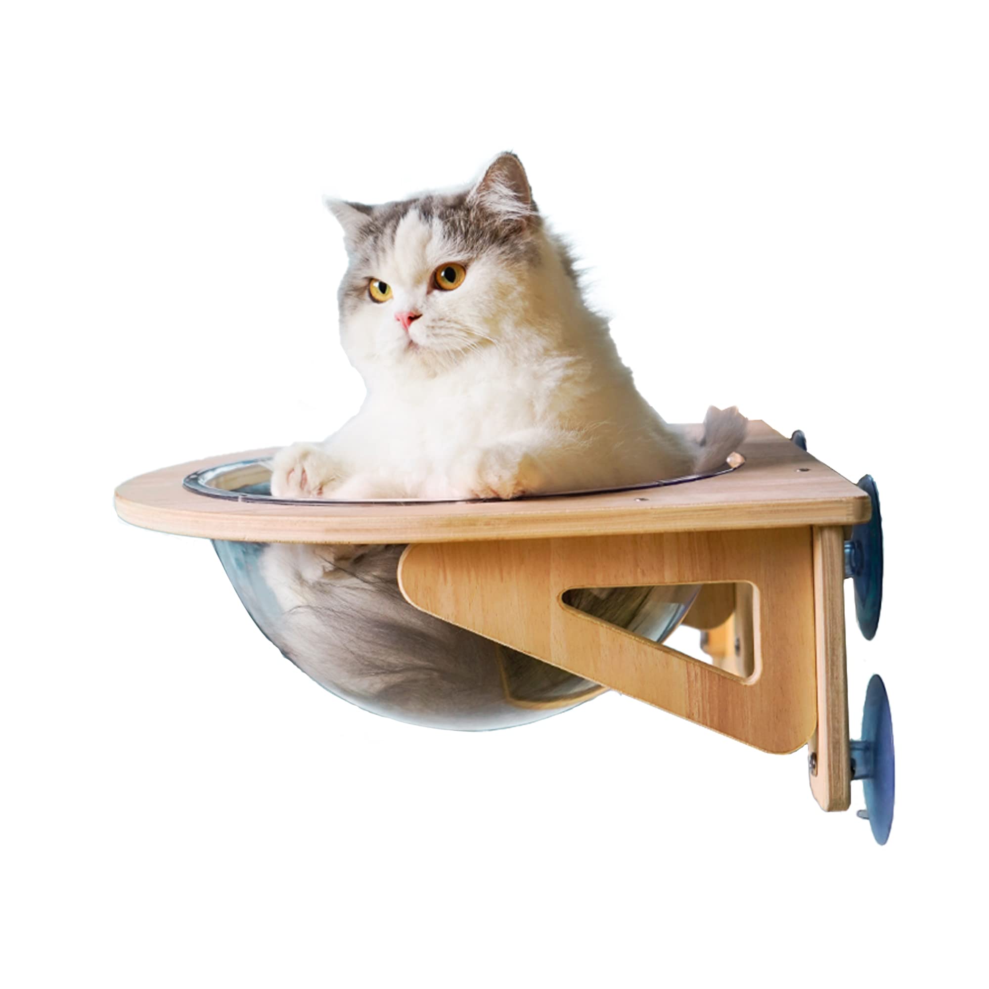 Amazon.co.jp: 猫ハンモック 吸盤付き猫ベッド 透明スペースカプセル