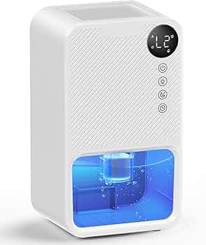 61-he6qIivL._AC_UF350,