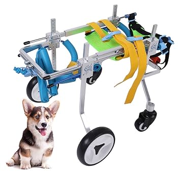 ワンちゃん4輪 リハビリ 食事補助 犬用車椅子 体制維持 犬の歩行器
