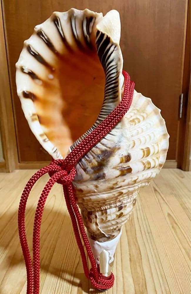 特大44.5㎝修験道法螺貝 山伏 ほら貝 ホラガイ 特大44.5㎝修験道法螺貝