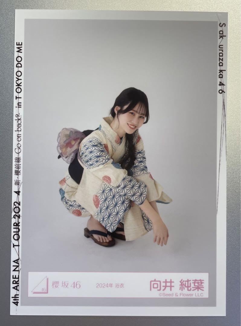 櫻坂46 向井純葉 直筆 サンタ24 座り 櫻坂46 向井純葉 直筆 サンタ24