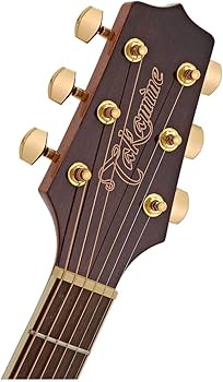 Amazon | Takamine タカミネ G Series Dreadnought Cutaway エレアコ