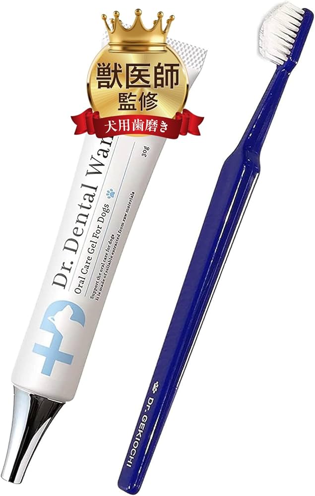 Dr.Dental Wan デンタルケア 30g 2本セット 歯ブラシ3本付き Dr
