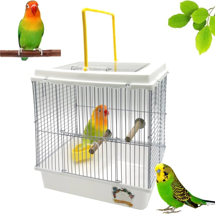 Amazon | IYOIYA 鳥 キャリーケース 移動 インコ キャリー お出かけ