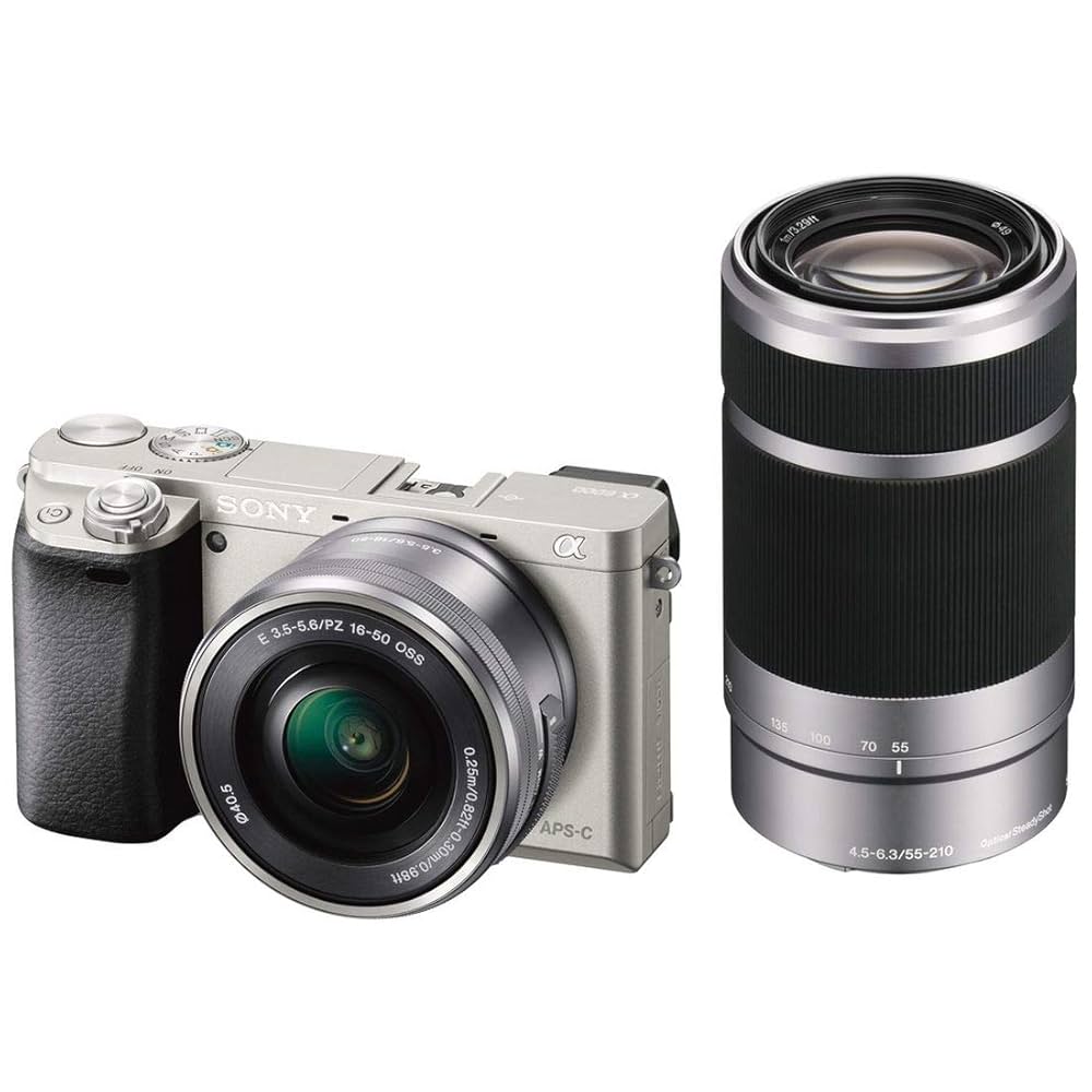 SONY α6000 ミラーレス一眼 本体と付属品 【公式通販】