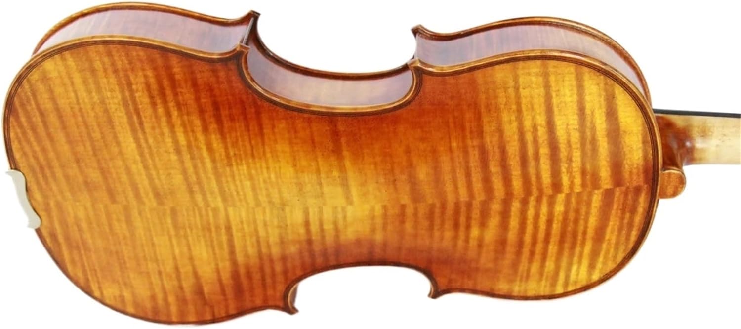 うるう/Aileen 4/4 バイオリンセット、フルサイズ フィドル Amazon.co