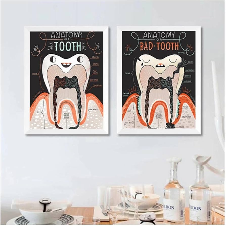 Amazon.co.jp: BINGJIACAI 歯の解剖学ポスター歯科科学知識キャンバス