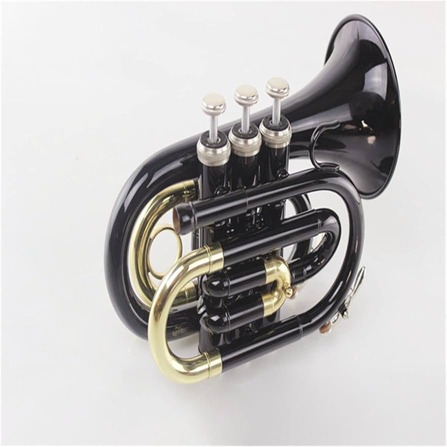 Amazon.co.jp: 初心者 金管楽器 フラットBキー ミニトランペット 黒漆