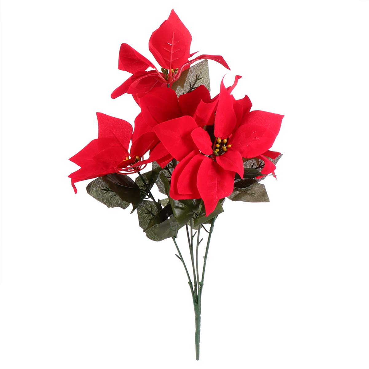 油絵 絵画 【赤いポインセチア】 油絵 絵画 【赤いポインセチア