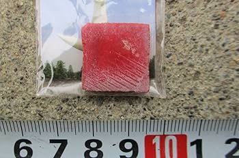 Amazon.co.jp: 1970年 太陽の塔 タイル 赤いイナズマ 正面 岡本太郎