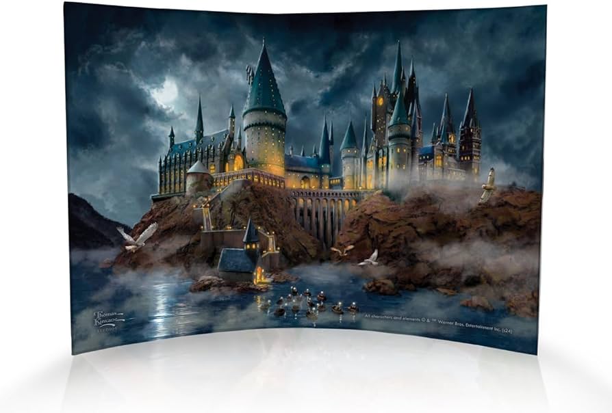 Amazon.com: Harry Potter – Hogwarts Castle – 10” x 7” Curved