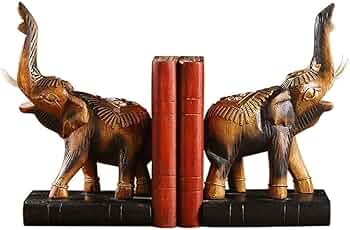 61uirfeqI2L._AC_UF350,