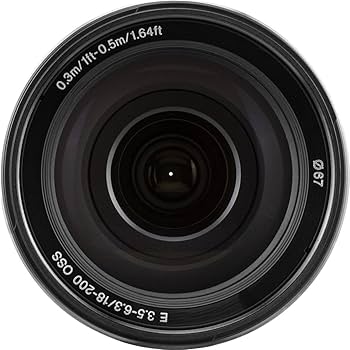 Amazon.com : Sony Alpha SEL18200 E-Mount 18-200mm F3.5-6.3 OSS