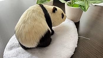 Amazon.co.jp: パンダ 本物の様毛並みが可愛いですオブジェ 置き物