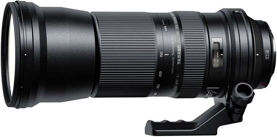 Amazon.com : Tamron SP 150-600mm F/5-6.3 Di VC USD for Canon DSLR