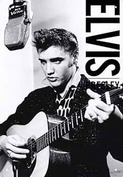 エルビスプレスリー ポスター2枚セット エルビスプレスリー ポスター2