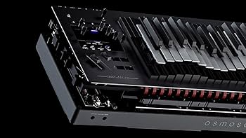 Amazon | Expressive E/Osmose 49 49鍵盤 エクスプレッシブ