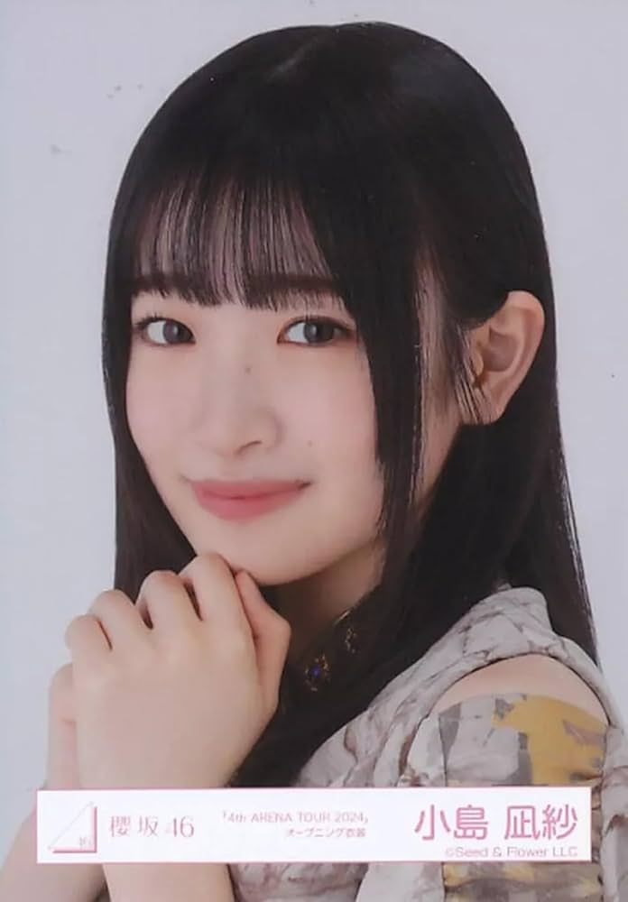 Amazon.co.jp: 乃木坂46 生写真 2024年8月/車道側 3種コンプ 林瑠奈