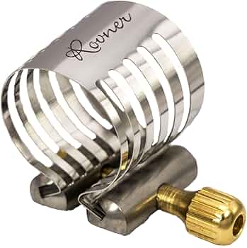 61wiRNf3o5L._AC_UF350,