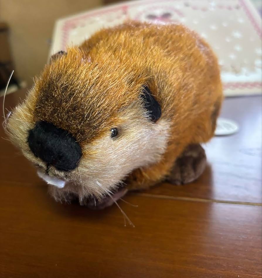 SUPER BEAVER スーパービーバーちゃん(ぬいぐるみ) Amazon.co.jp