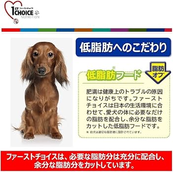 Amazon.co.jp: 1st choice (ファーストチョイス) ドッグフード 成犬 1