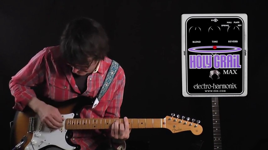 Amazon.com: Electro-Harmonix Holy Grail Max Reverb Pedal : Musical