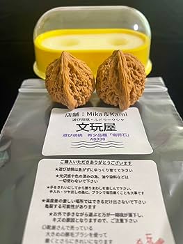 Amazon | 文玩屋 遊び胡桃 A0030 希少品種「南将石」「手で遊び育てる