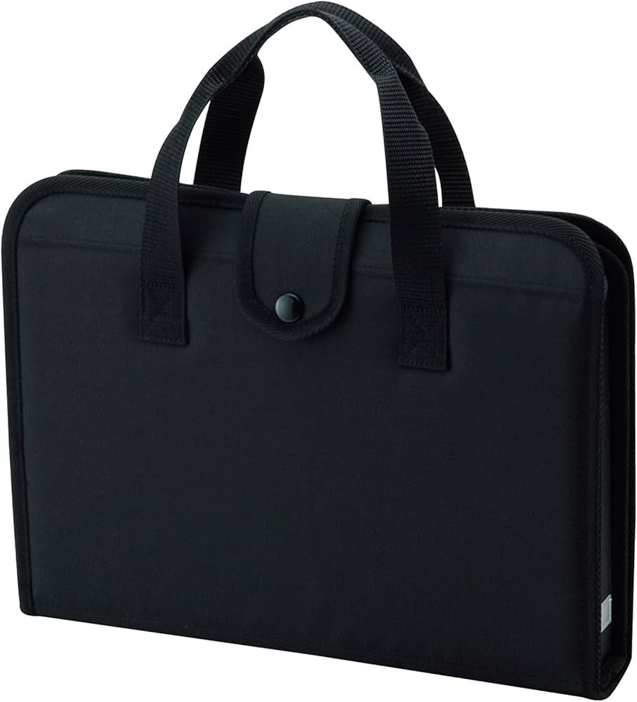 笙 竹製 黒色ハードケース付き 雅楽小物 笙ハードケース(笙ケース