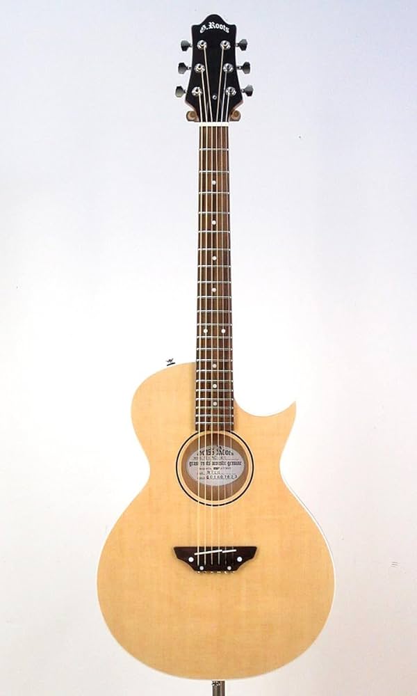 Amazon | GrassRoots G-AC-45 NTL アコースティックギター グラス