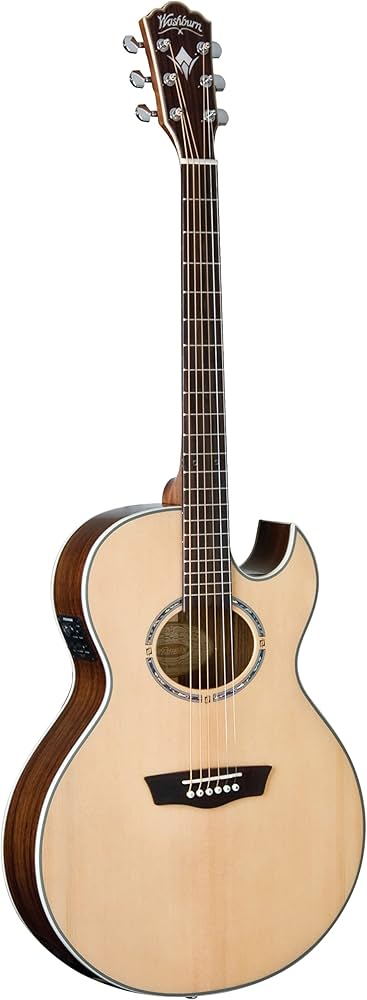 Amazon | WASHBURN (ワッシュバーン) エレアコギター EA20S-NUNO